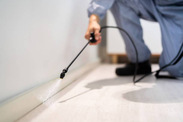 Licensed Termite Control service in Marietta, OH - Nex Pest Control