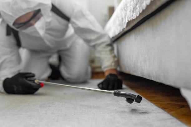 Professional Termite Control technician working in Marietta, OH
