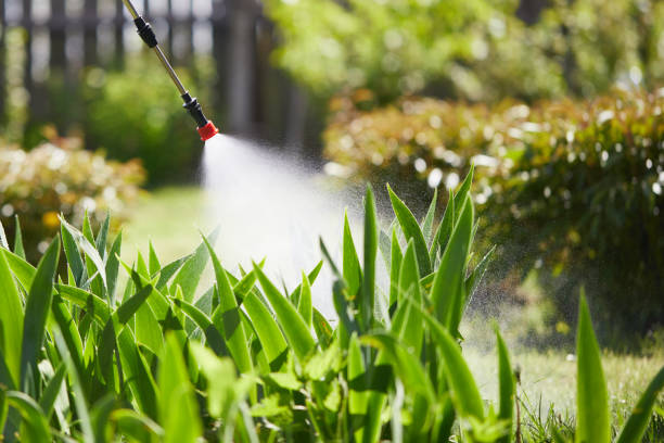 24/7 Emergency Termite Control experts in Marietta, OH
