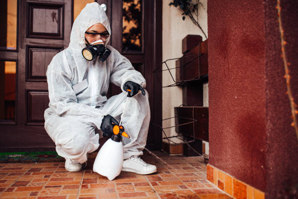 Reliable Termite Control contractor in Marietta, OH by Nex Pest Control