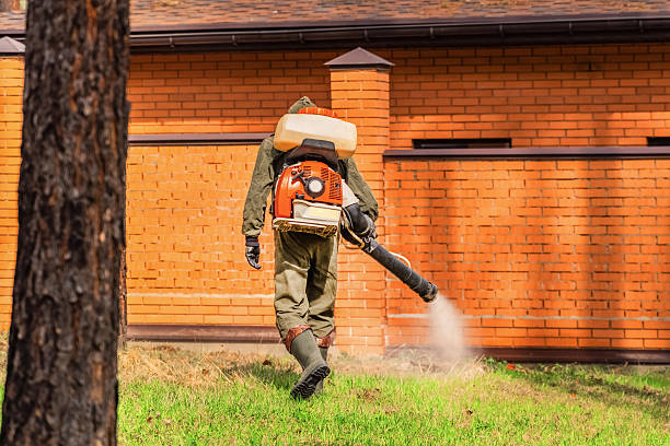 Trusted Bed Bug Control service in Marietta, OH - Nex Pest Control